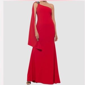 BETSY & ADAM
One Shoulder Gown With Dramatic Sleeve size 6